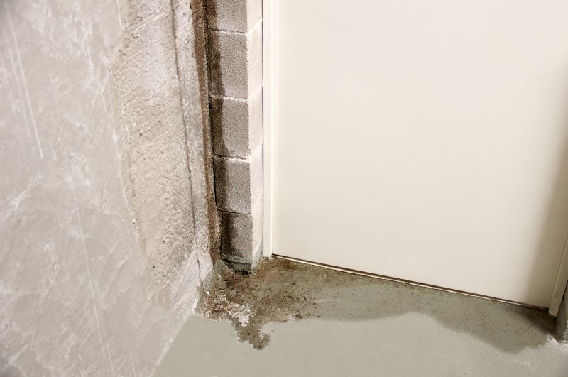 Basement Leak Repair in Tampa, FL